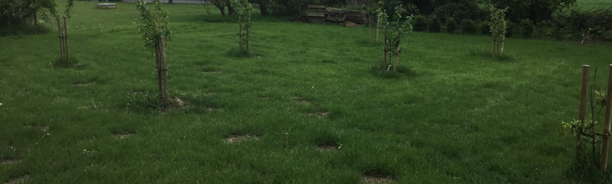 Obst_Header